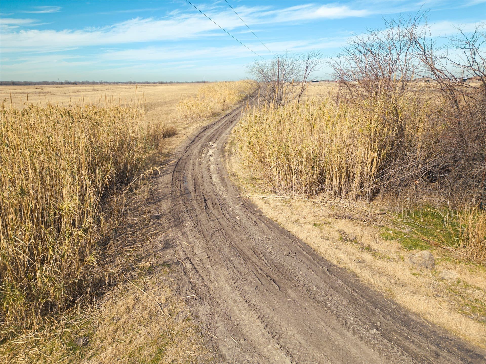 5.01 acres in Navarro County - photo 10