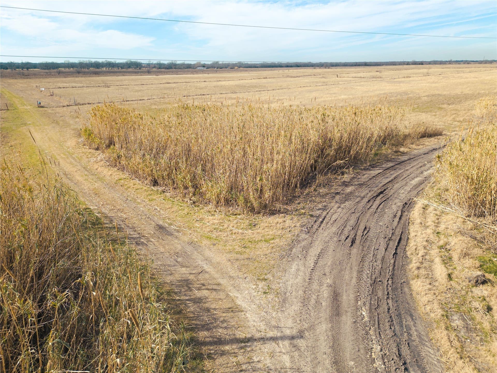 5.01 acres in Navarro County - photo 13