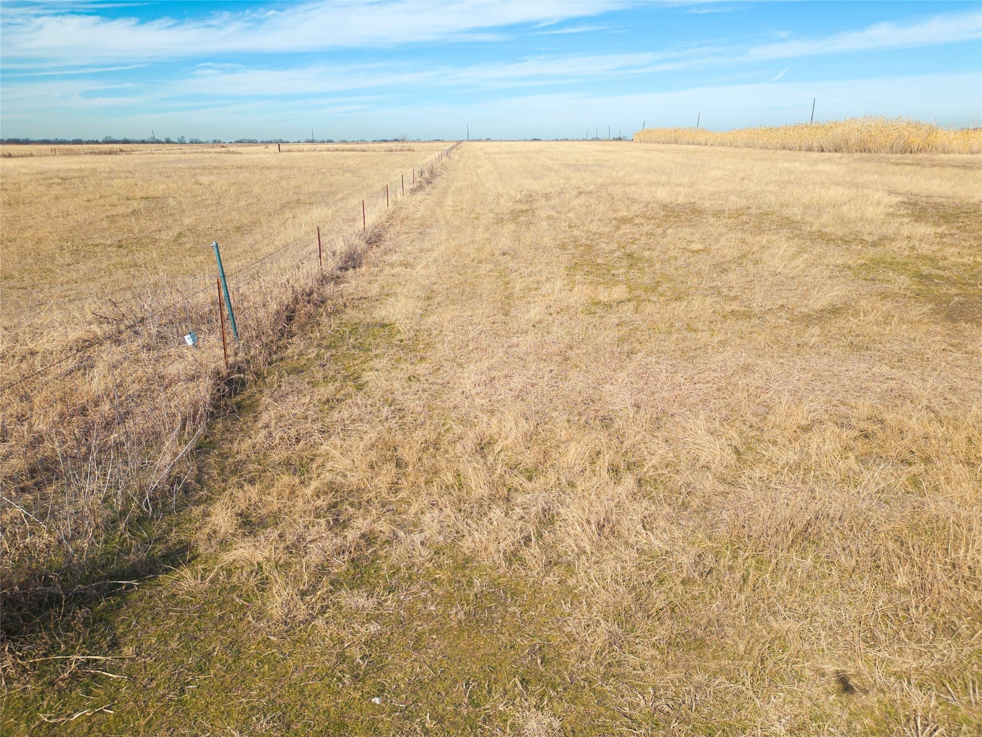 5.01 acres in Navarro County - photo 12