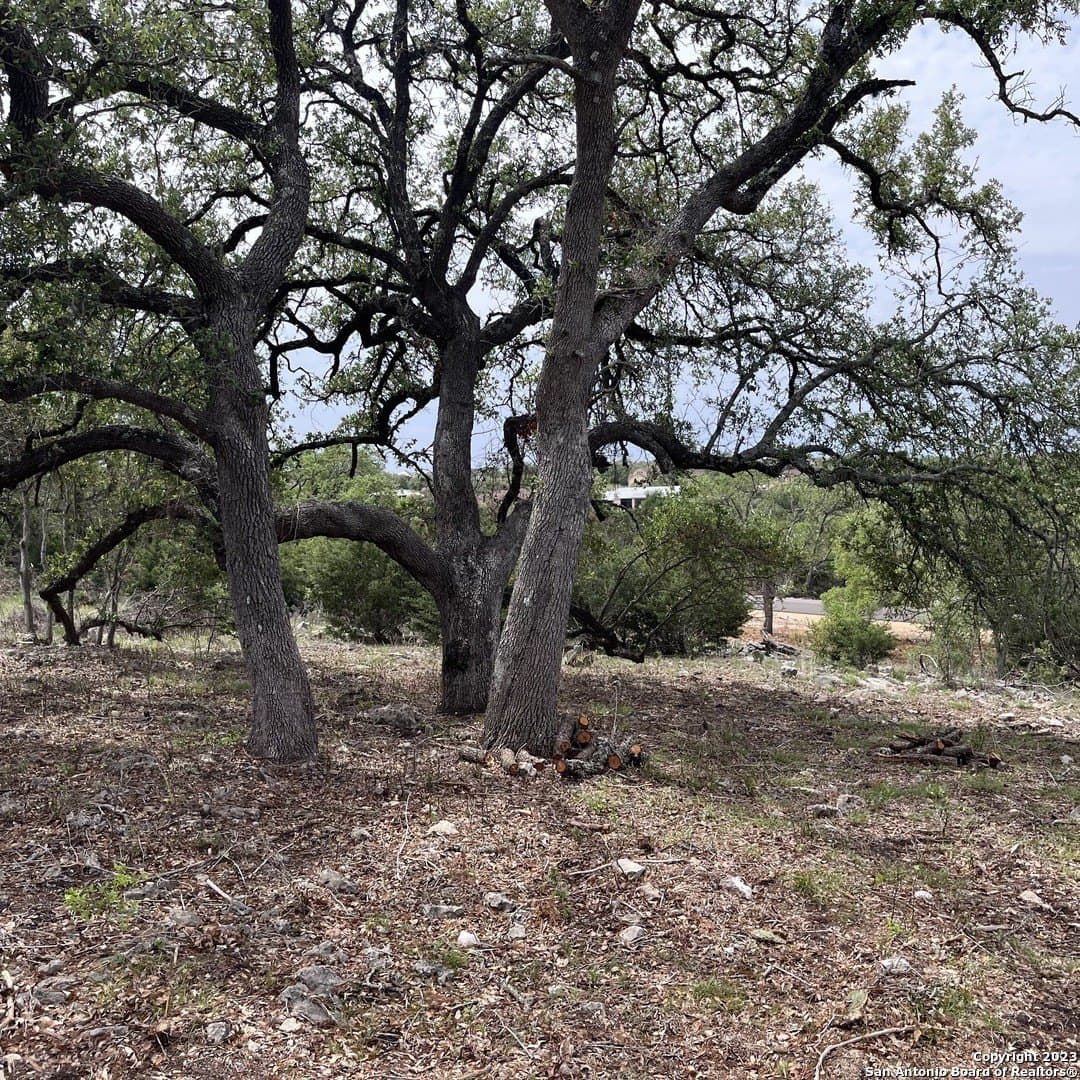 1.01 acres in Comal County gallery image 3