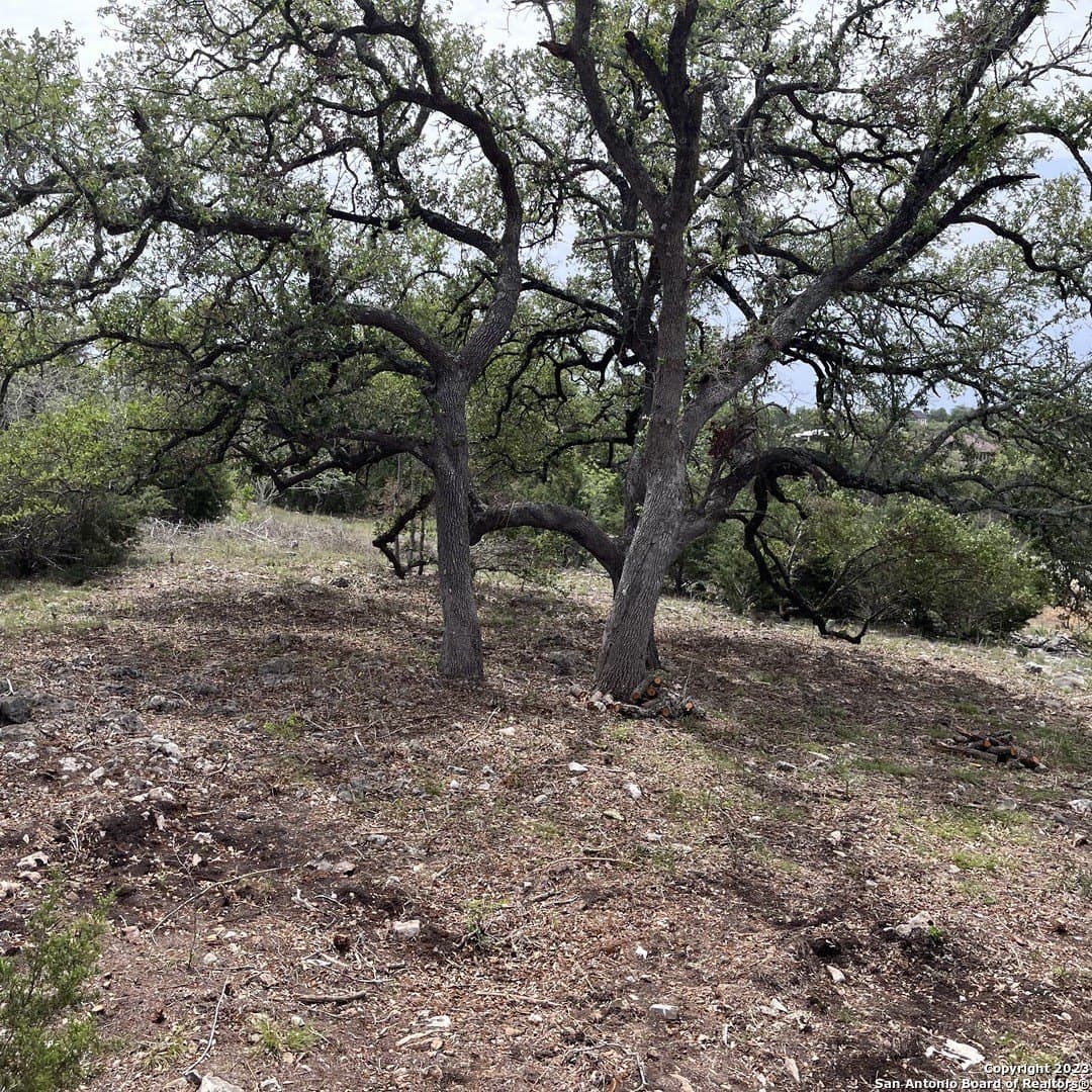 1.01 acres in Comal County - photo 10
