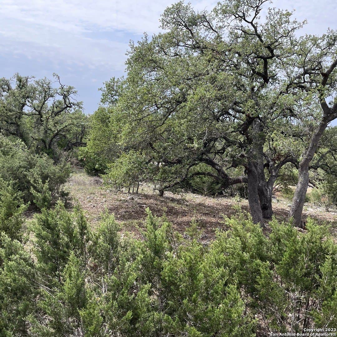 1.01 acres in Comal County - photo 14