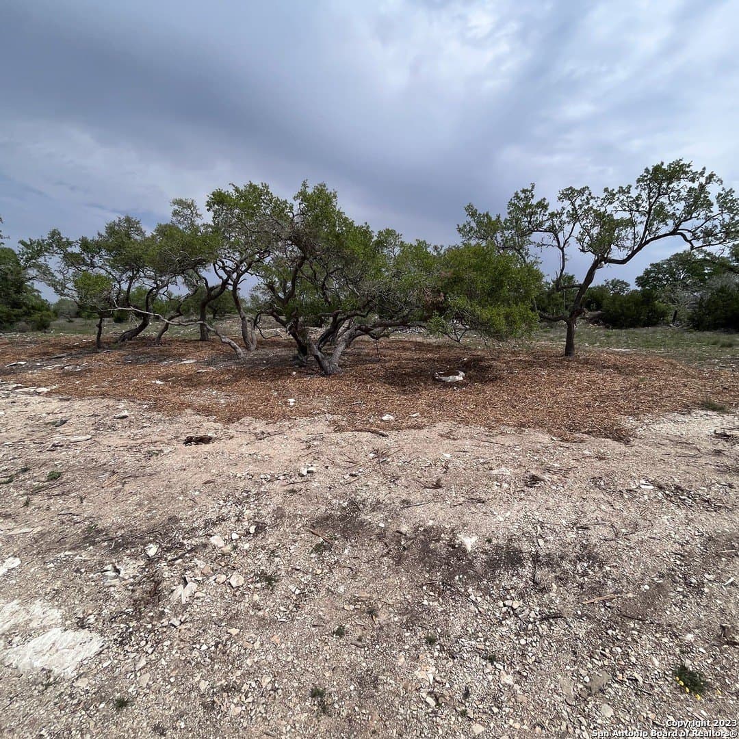 1.01 acres in Comal County gallery image 2