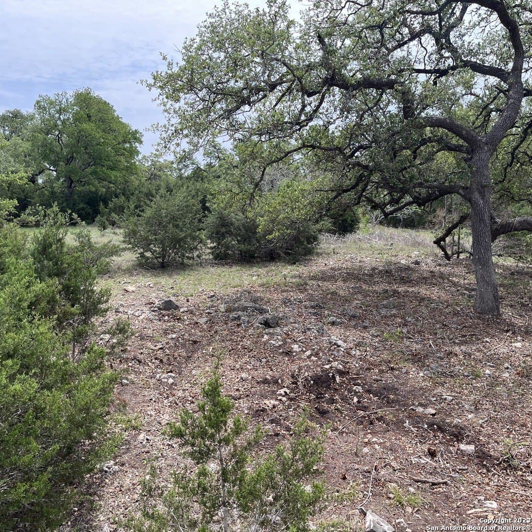 1.01 acres in Comal County - photo 11