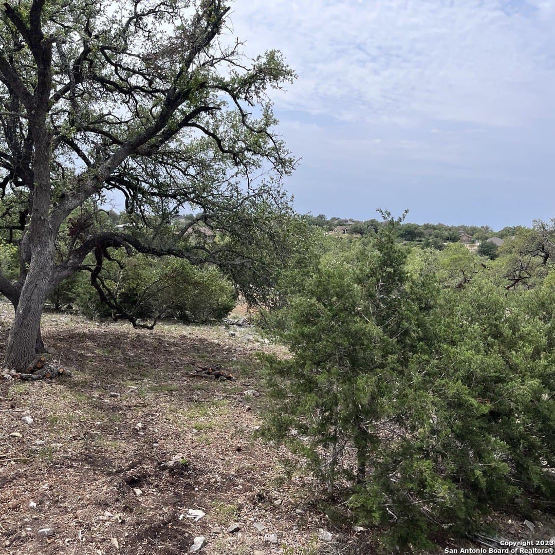 1.01 acres in Comal County featured view