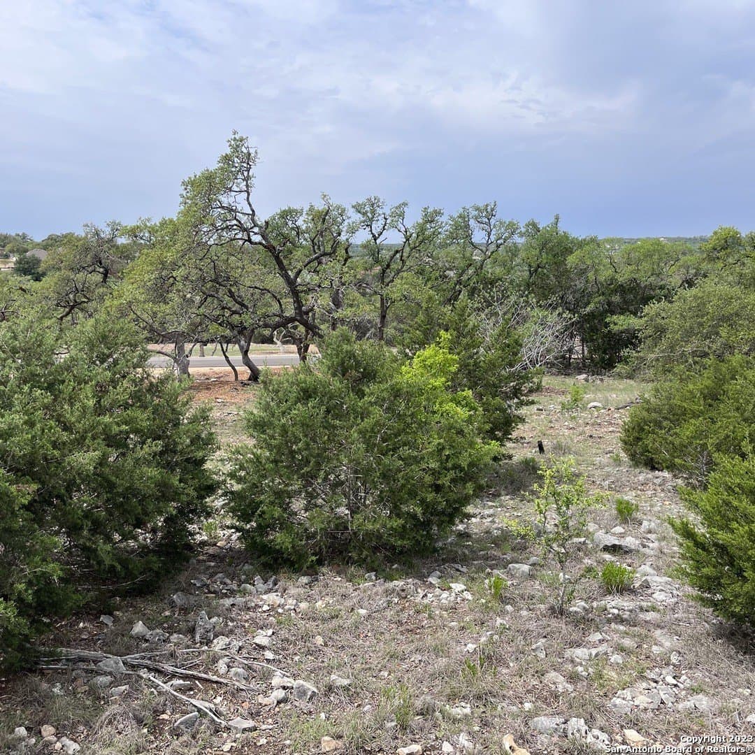 1.01 acres in Comal County gallery image 4