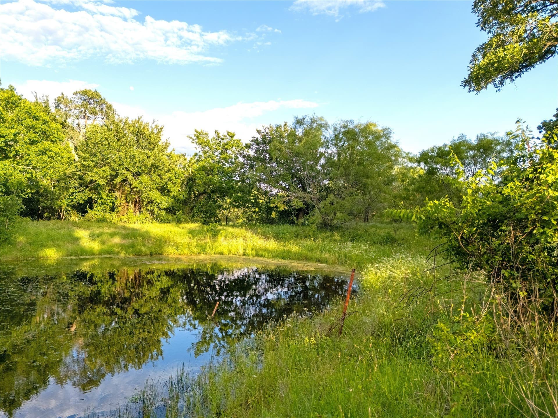 28 acres in McLennan County - photo 27