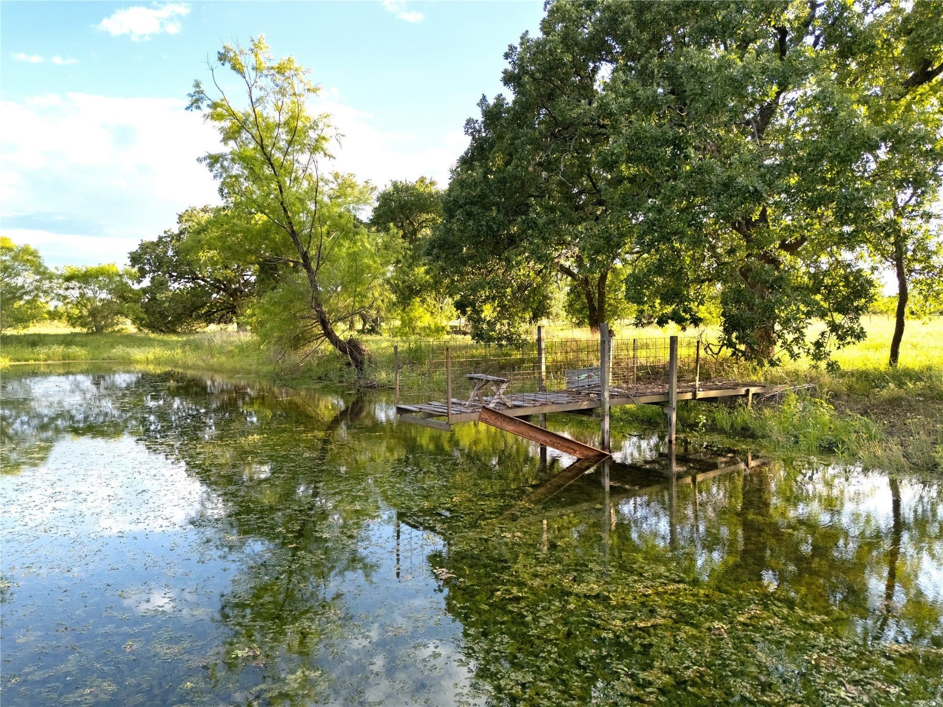28 acres in McLennan County gallery image 4