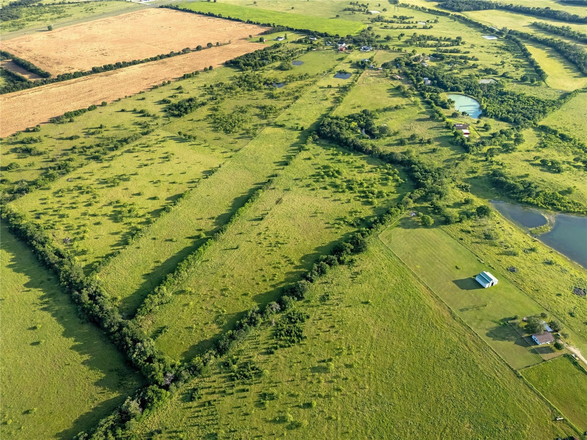28 acres in McLennan County - photo 22