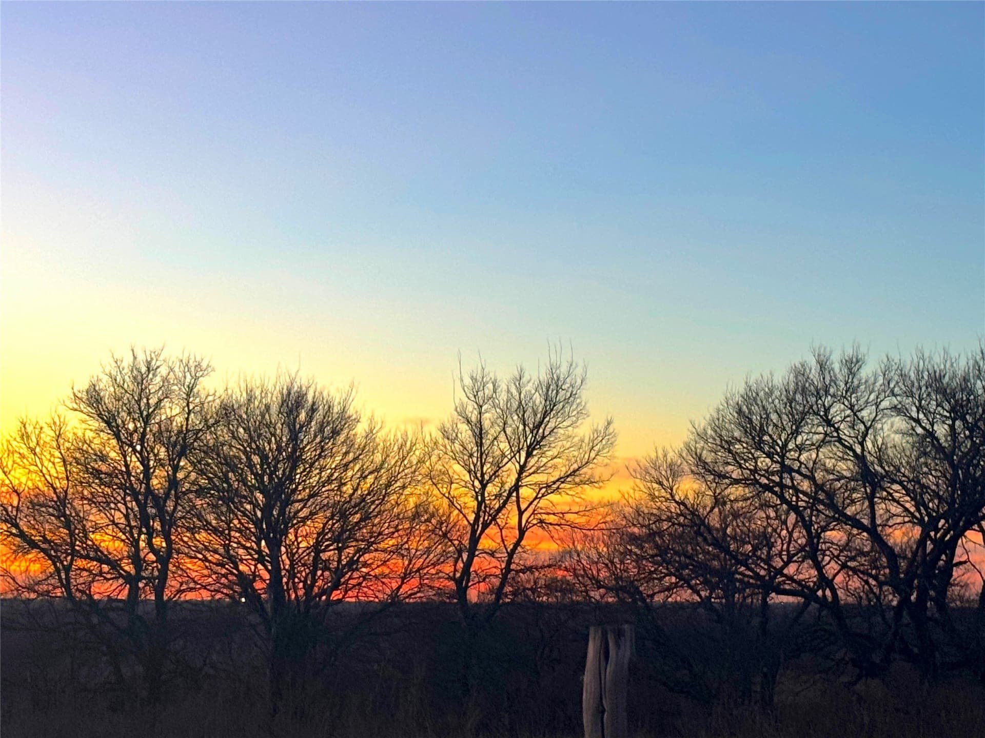 28 acres in McLennan County - photo 28