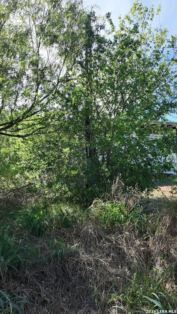 0.48 acres in Bexar County gallery image 4