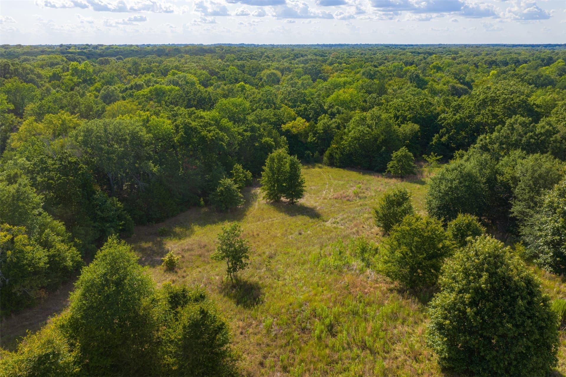 112.16 acres in Van Zandt County - photo 31
