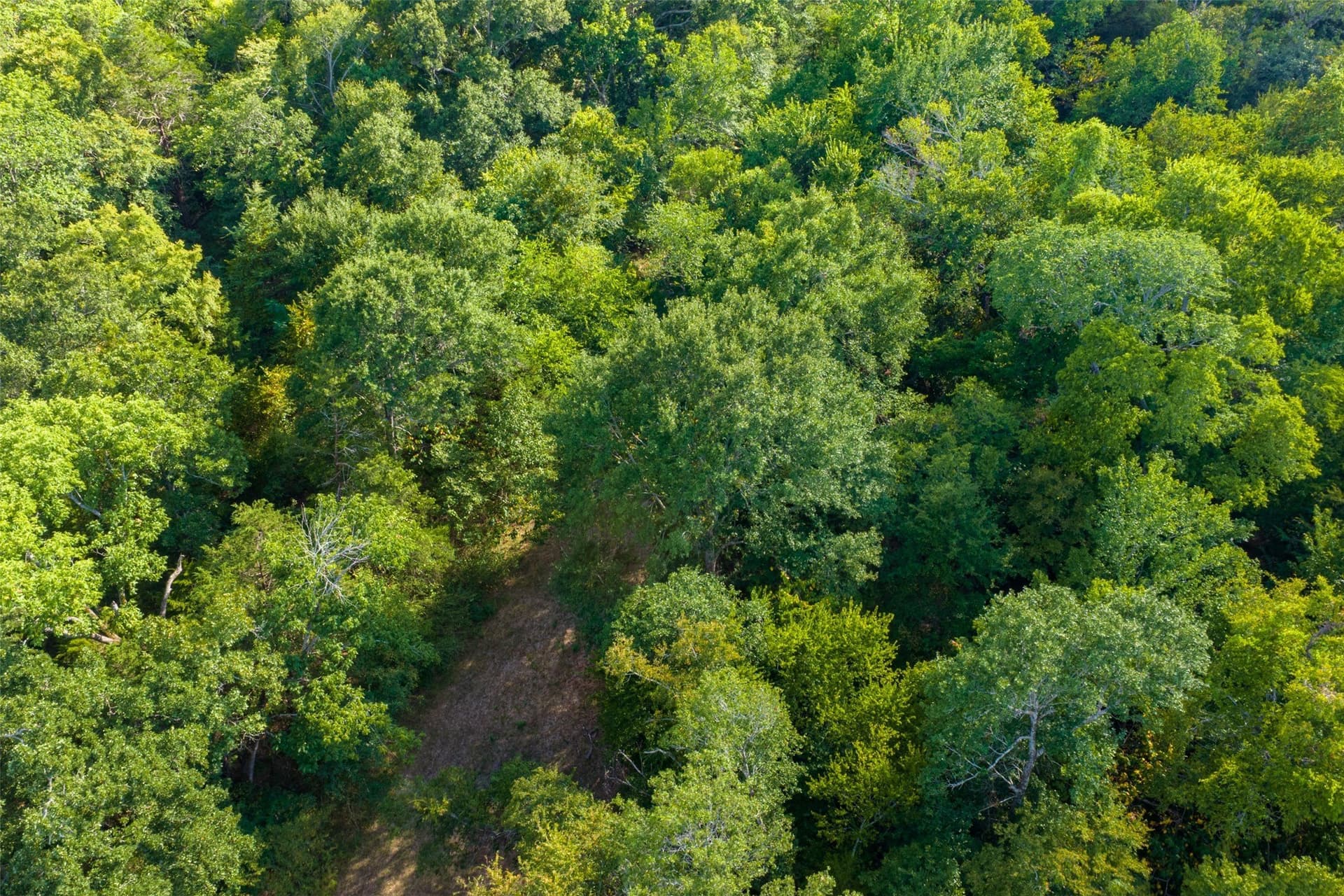 112.16 acres in Van Zandt County - photo 37