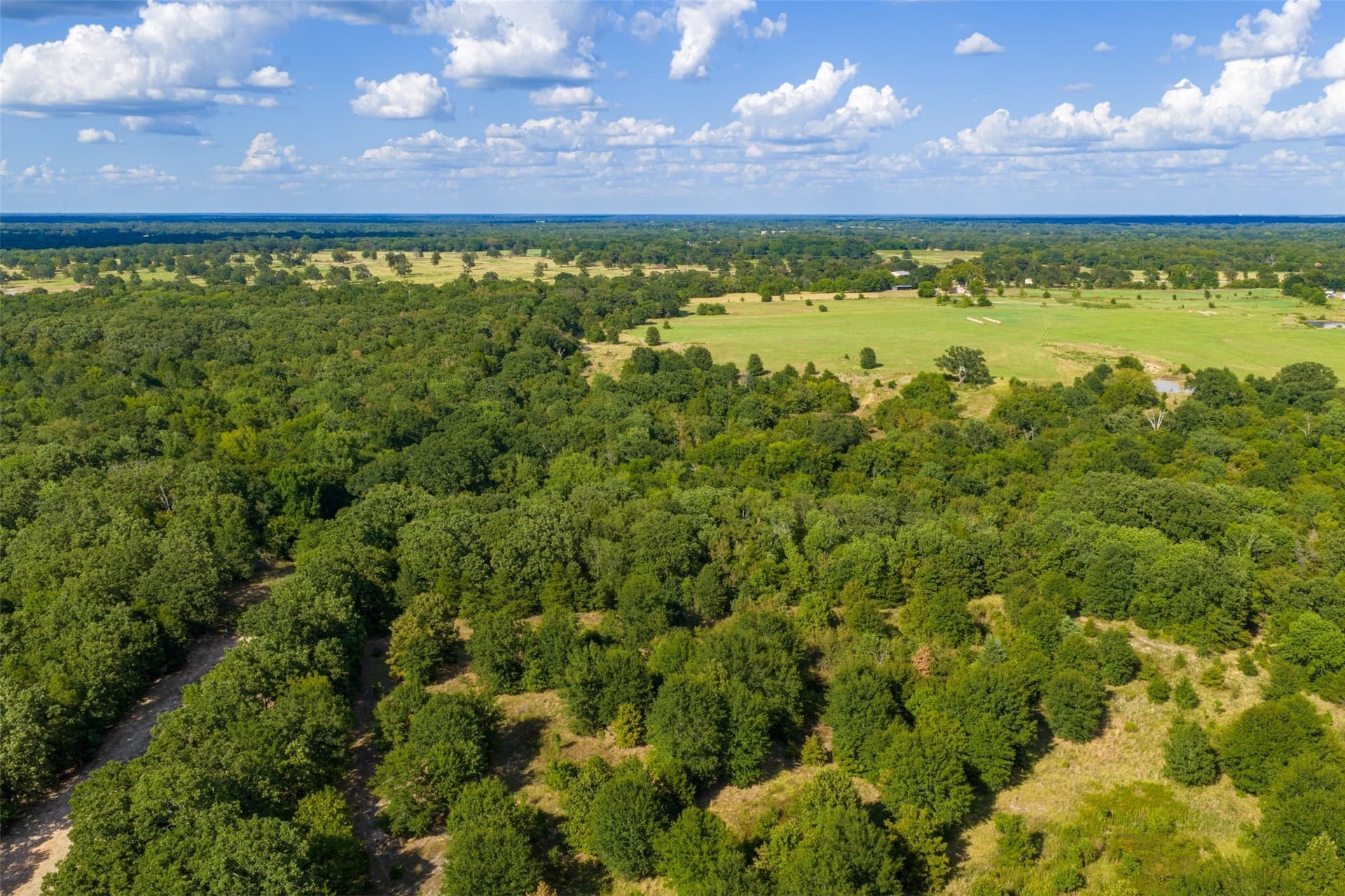 112.16 acres in Van Zandt County - photo 24