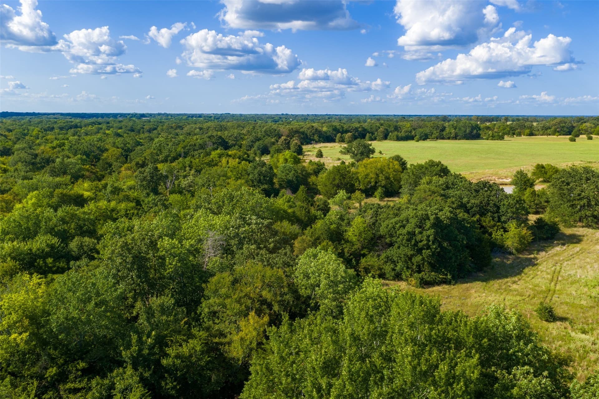 112.16 acres in Van Zandt County - photo 17