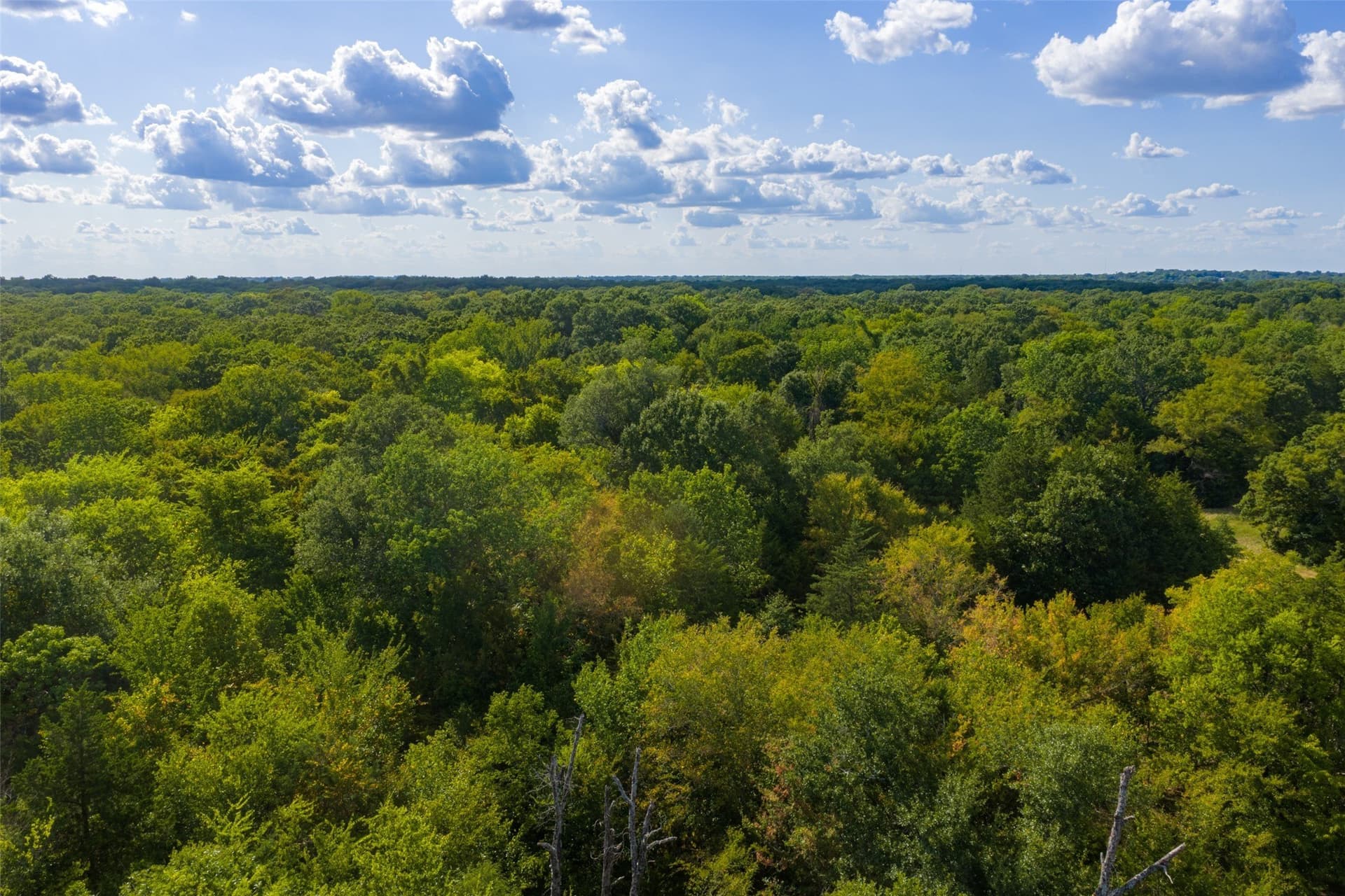 112.16 acres in Van Zandt County - photo 27