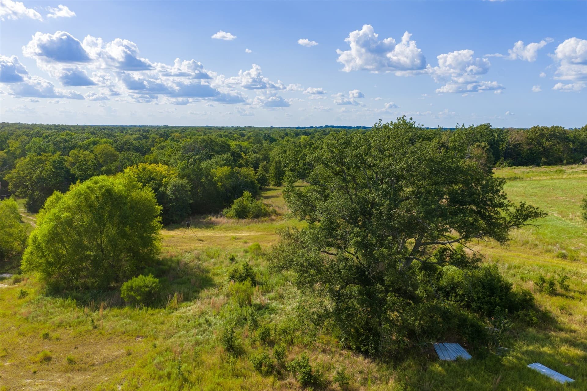 112.16 acres in Van Zandt County - photo 11