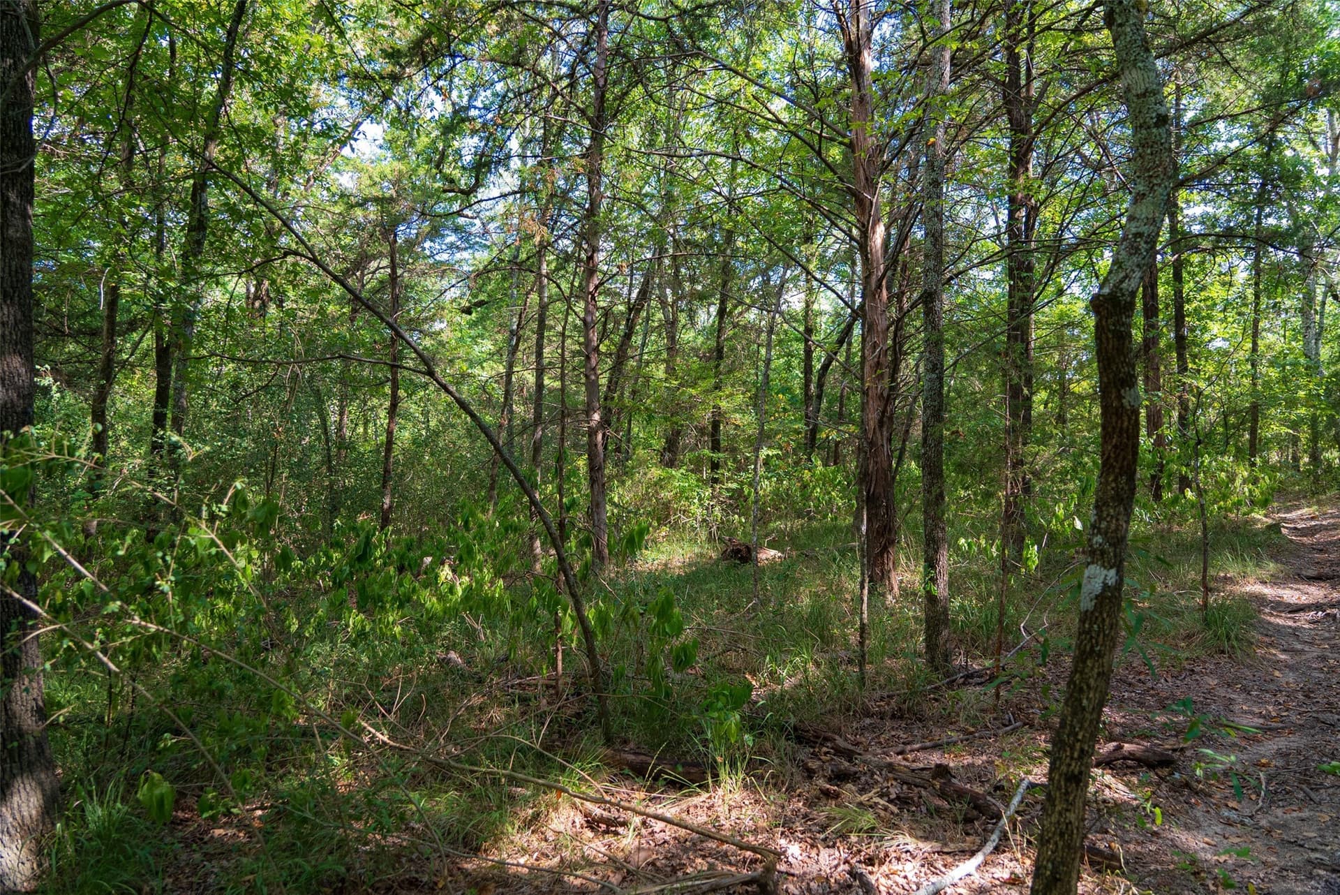 112.16 acres in Van Zandt County - photo 20