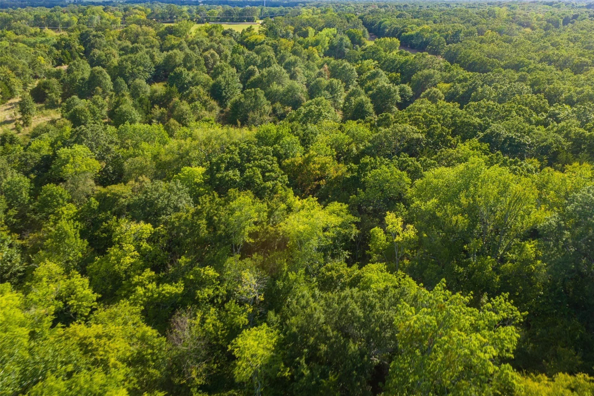 112.16 acres in Van Zandt County - photo 40