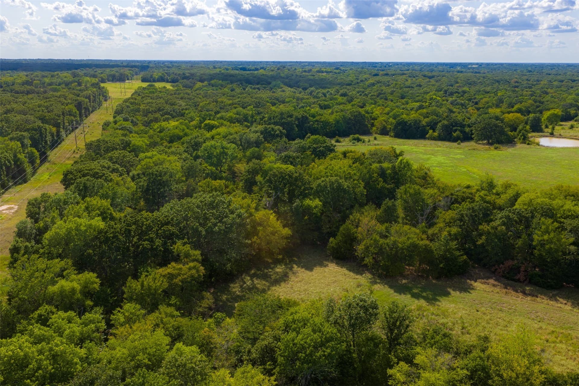 112.16 acres in Van Zandt County - photo 28