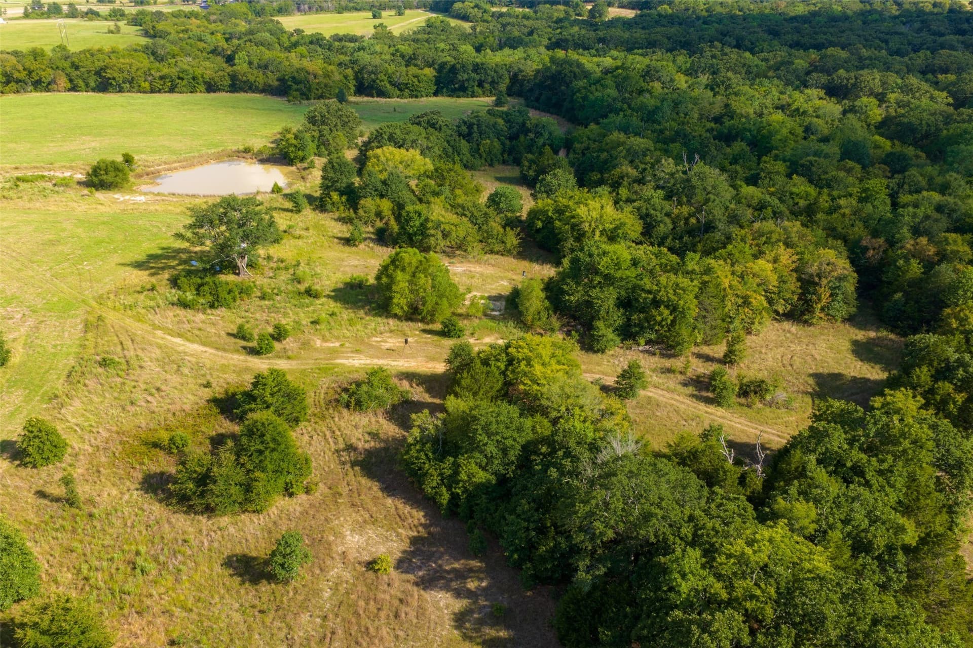 112.16 acres in Van Zandt County - photo 6