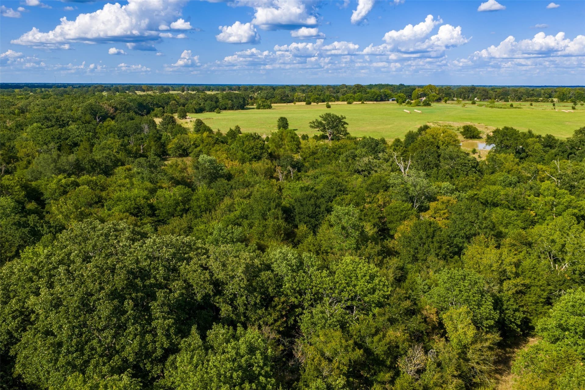 112.16 acres in Van Zandt County - photo 3