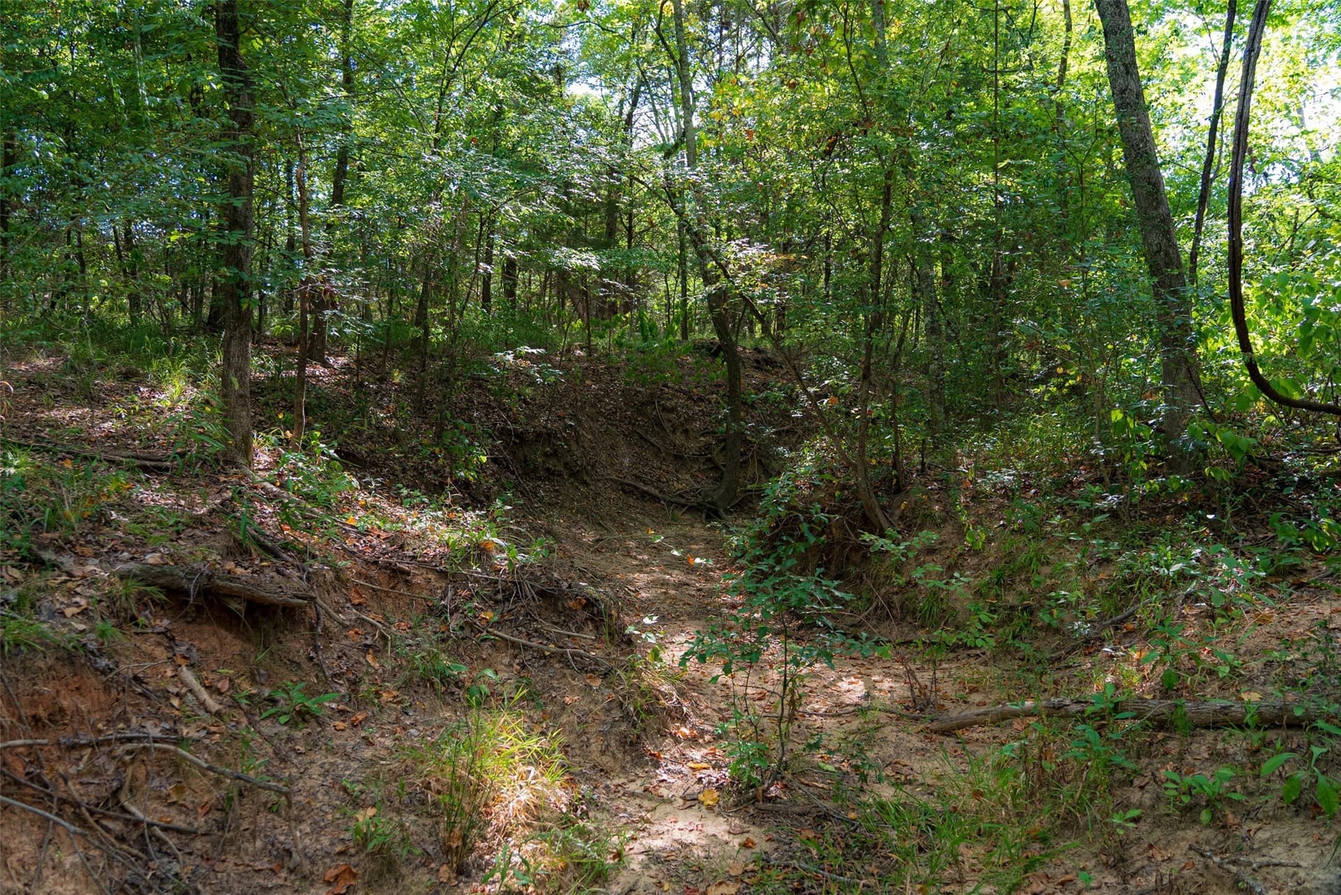 112.16 acres in Van Zandt County - photo 21