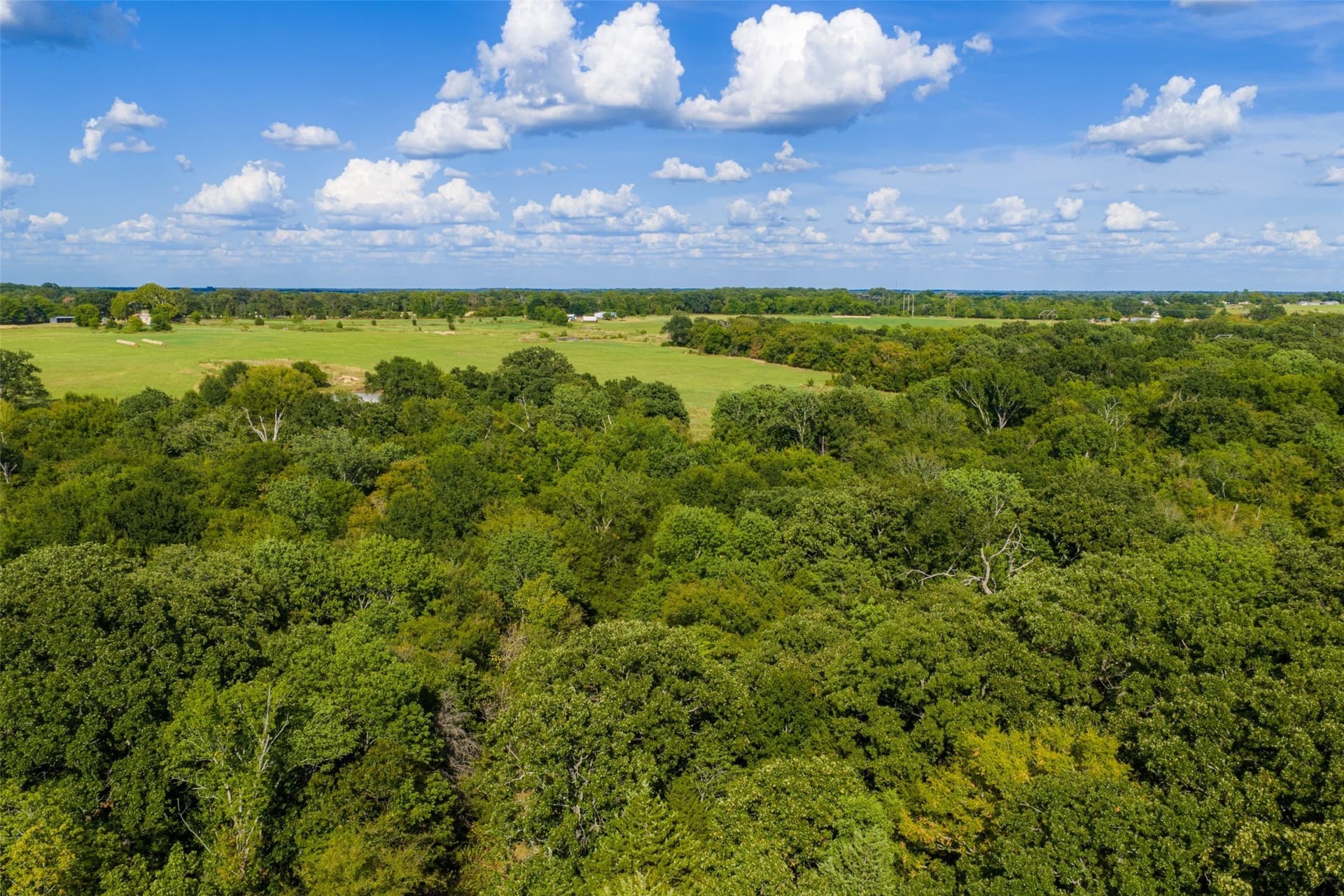 112.16 acres in Van Zandt County - photo 23