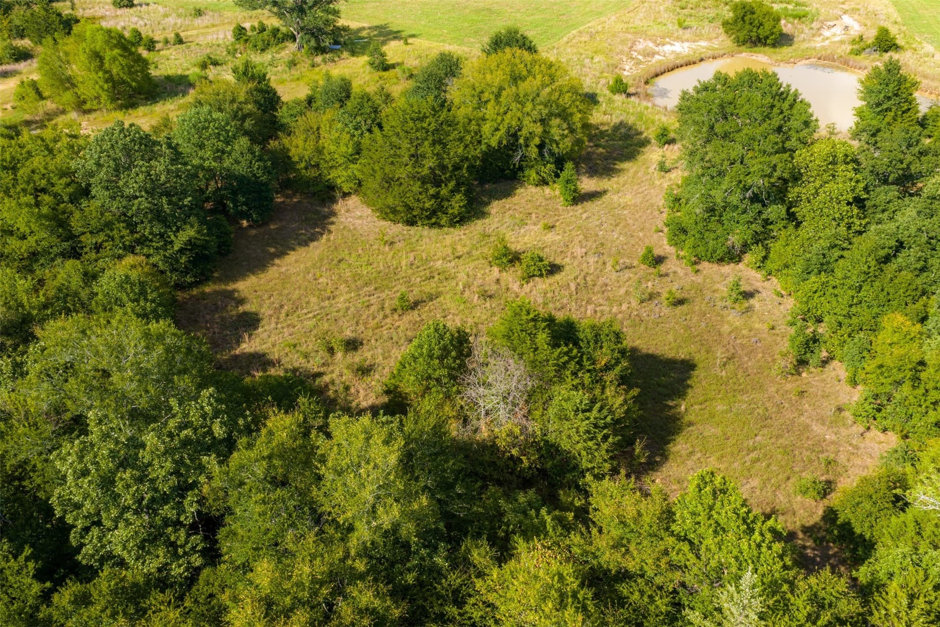 112.16 acres in Van Zandt County - photo 38