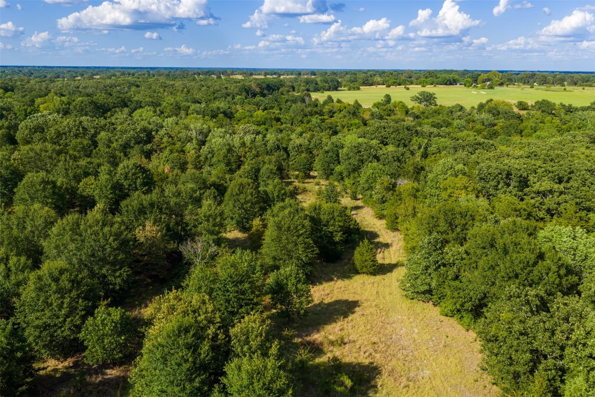 112.16 acres in Van Zandt County - photo 26