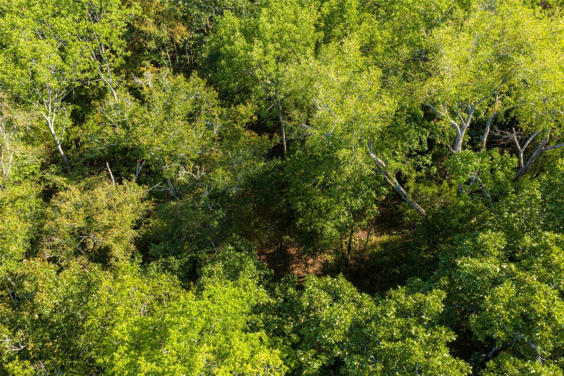 112.16 acres in Van Zandt County - photo 25