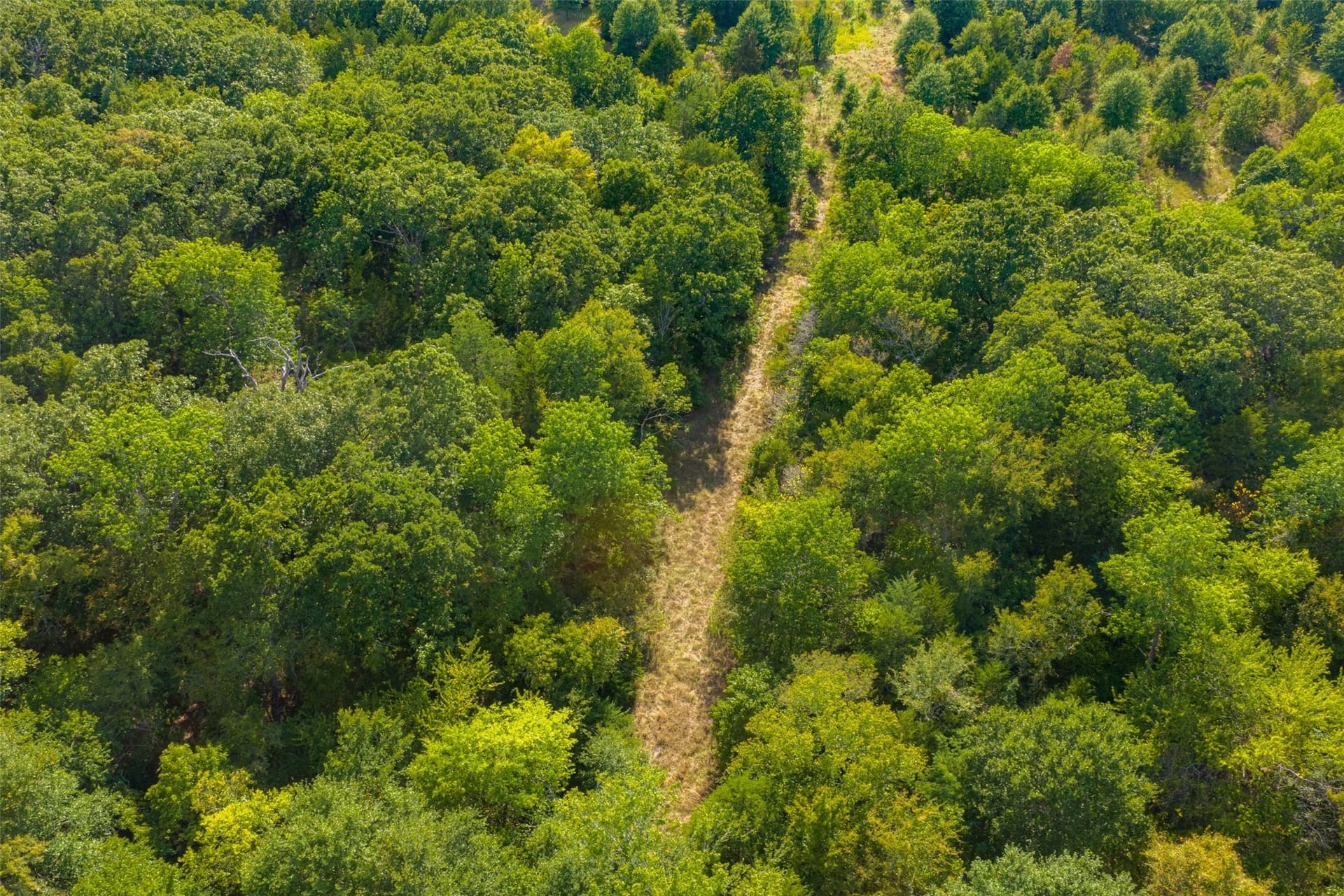 112.16 acres in Van Zandt County - photo 35