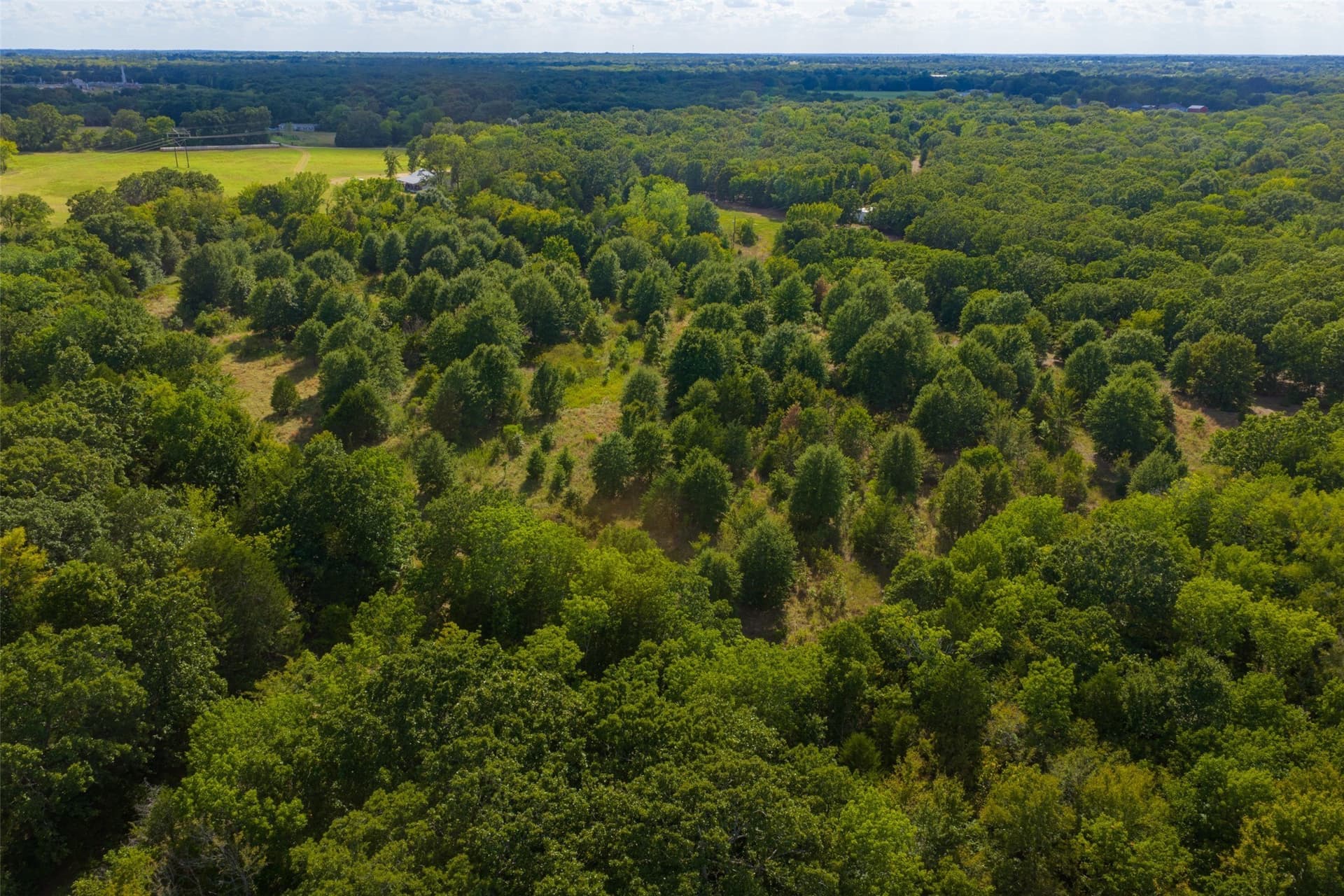 112.16 acres in Van Zandt County - photo 36