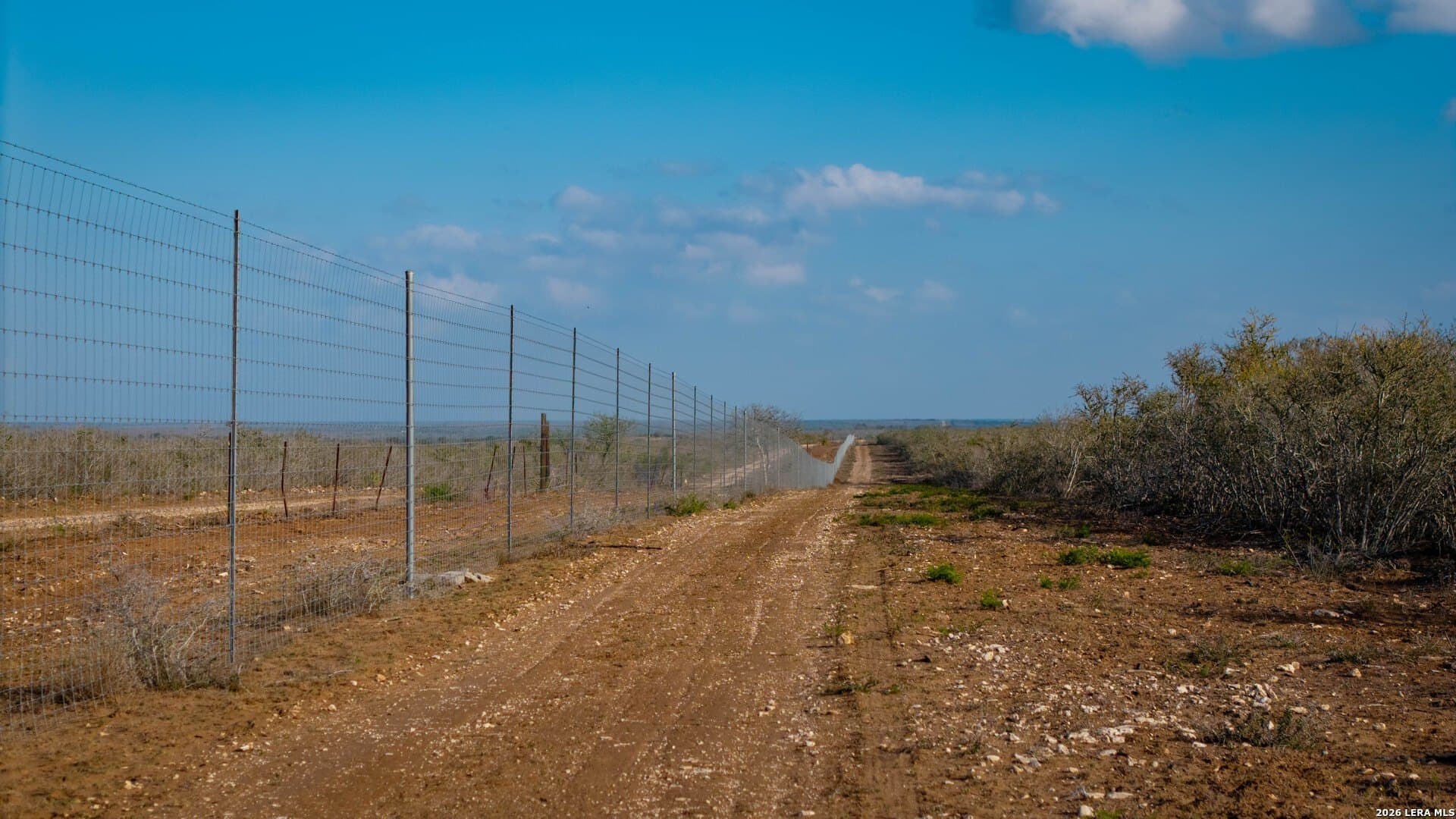 260 acres in Live Oak County - photo 32