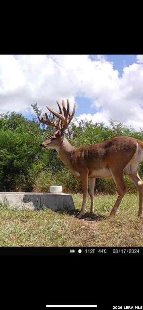 260 acres in Live Oak County - photo 47