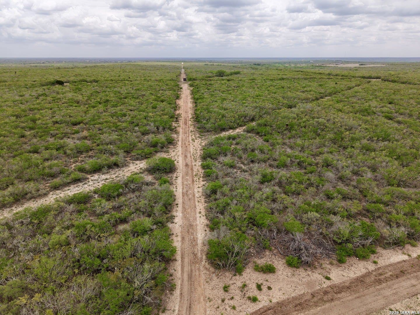 260 acres in Live Oak County - photo 22