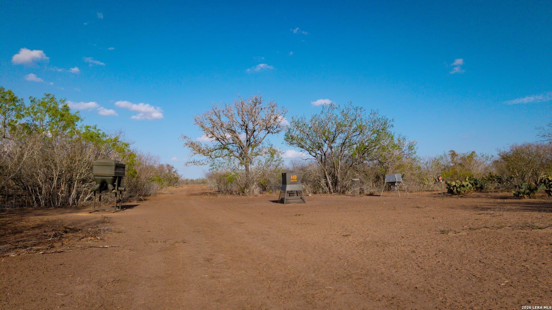 260 acres in Live Oak County - photo 35