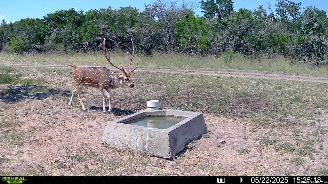 260 acres in Live Oak County - photo 44