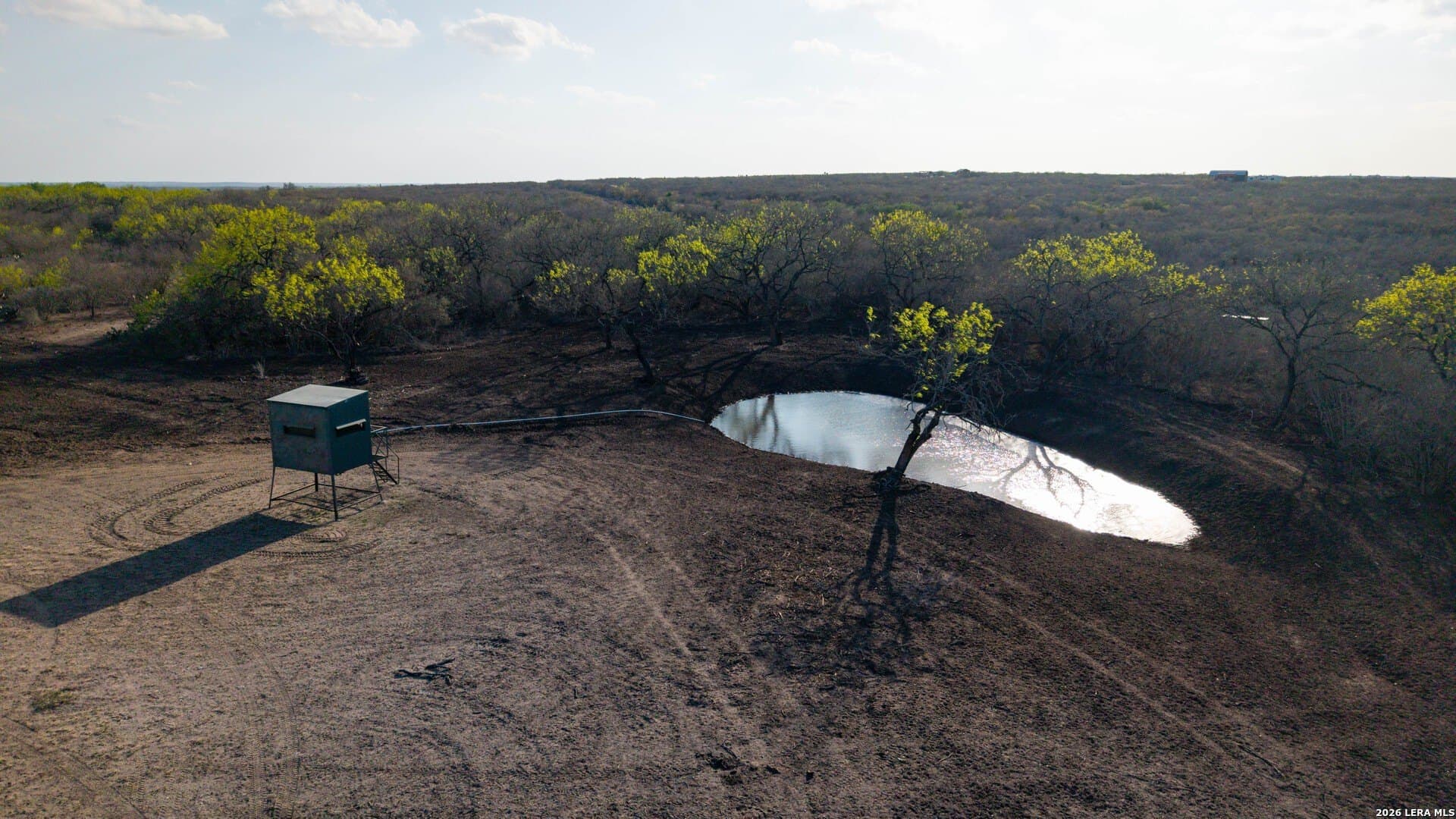 260 acres in Live Oak County - photo 33