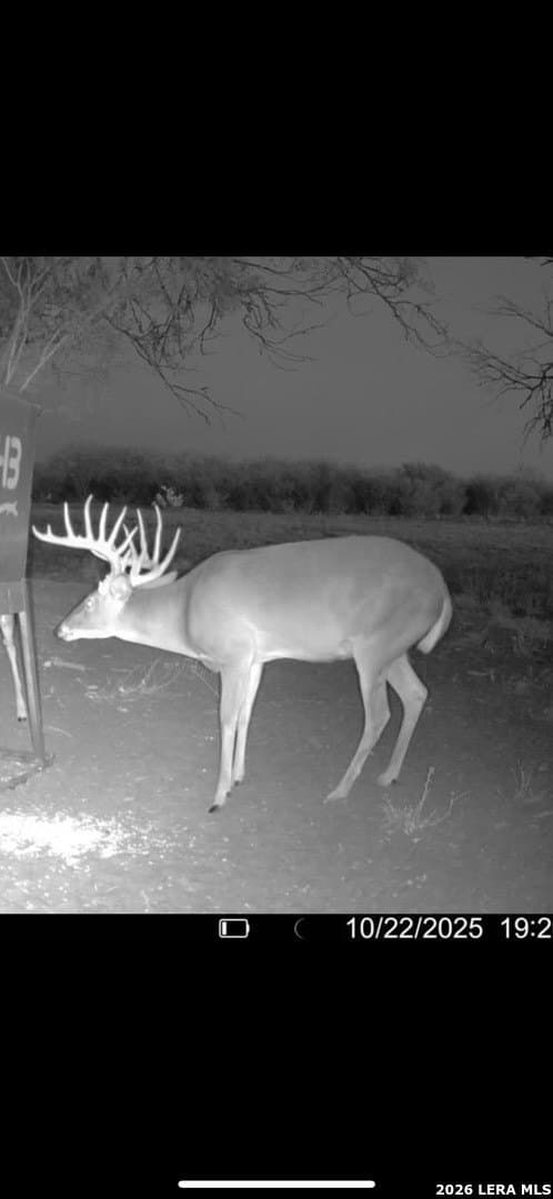 260 acres in Live Oak County - photo 42