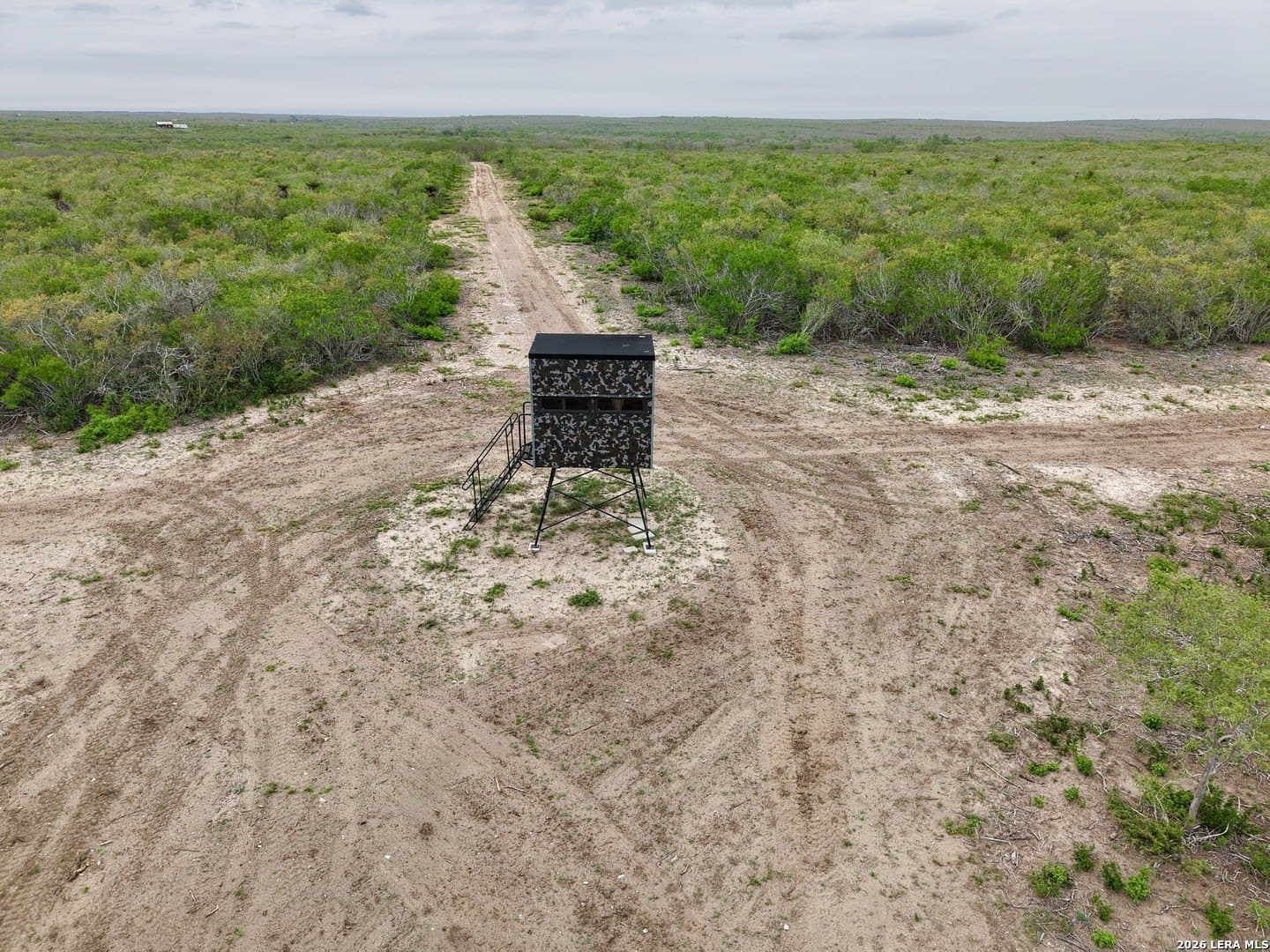 260 acres in Live Oak County - photo 24