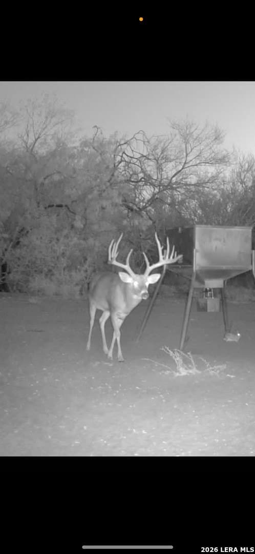 260 acres in Live Oak County - photo 43