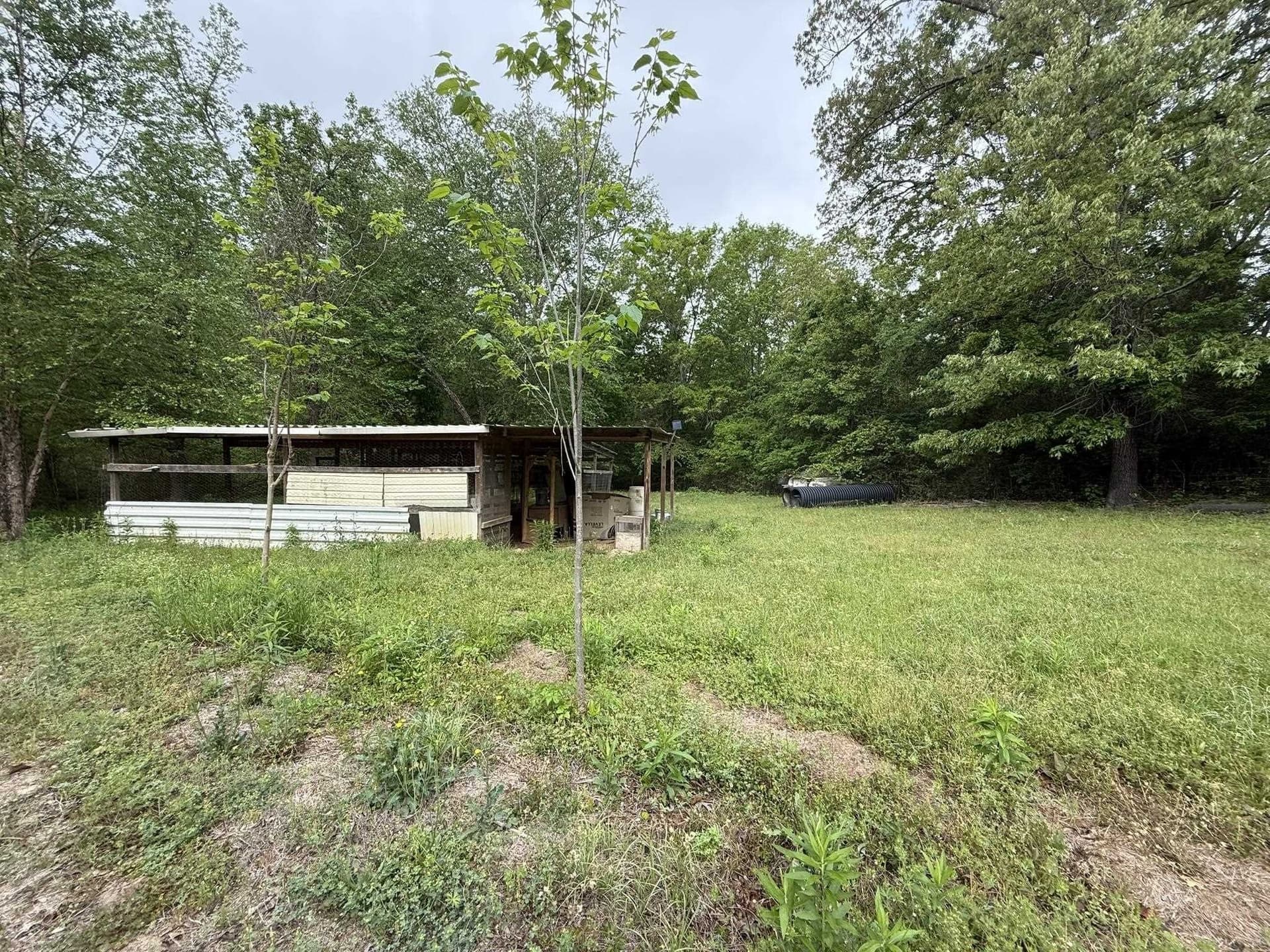16.21 acres in Upshur County - photo 41