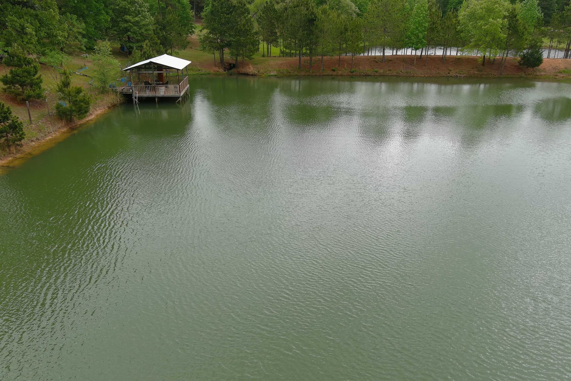 16.21 acres in Upshur County - photo 43