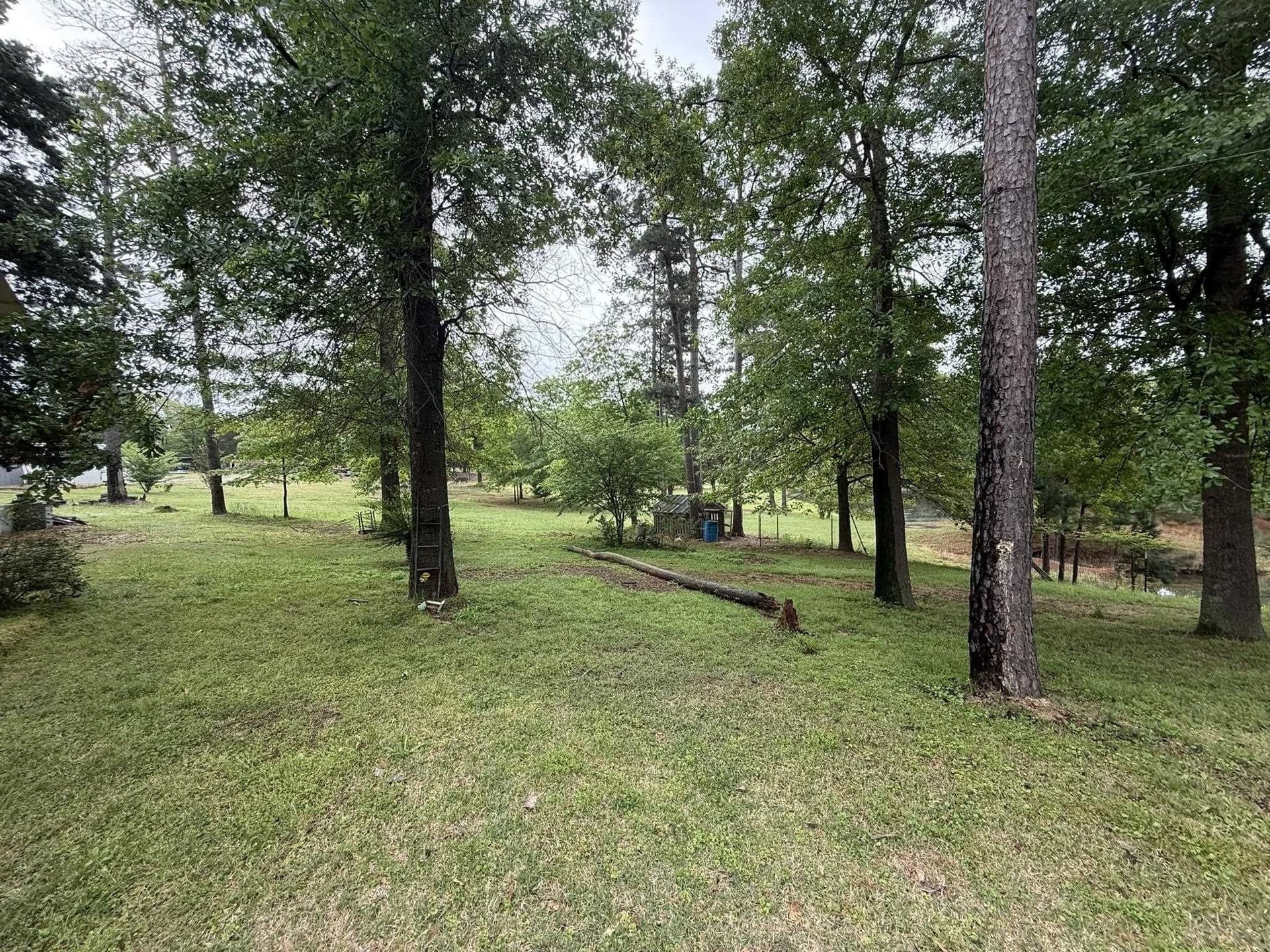 16.21 acres in Upshur County - photo 25