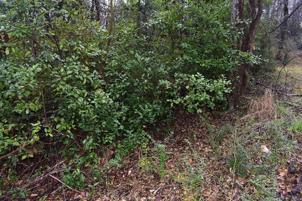 0.16 acres in ANDERSON County gallery image 3