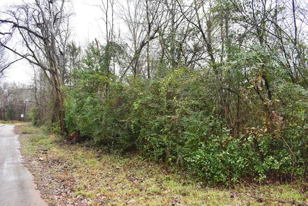 0.16 acres in ANDERSON County gallery image 2