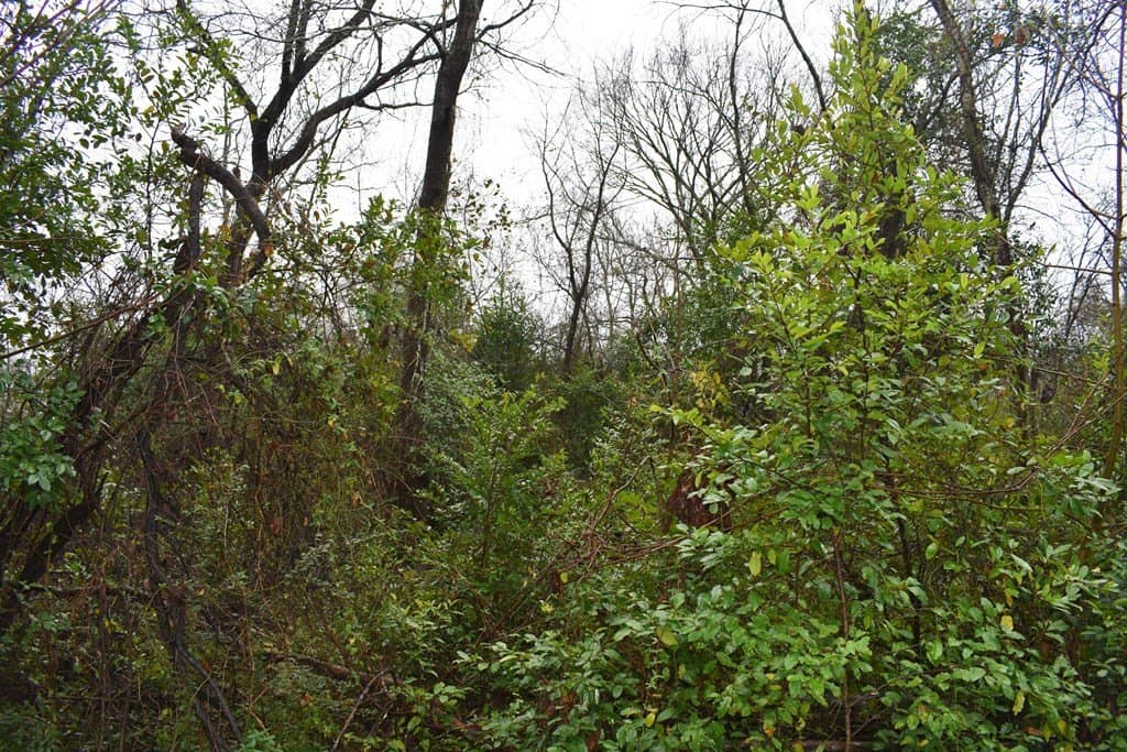 0.16 acres in ANDERSON County gallery image 4