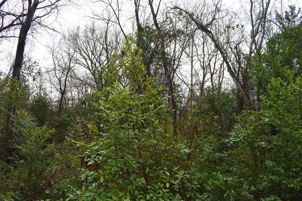 0.16 acres in ANDERSON County featured view