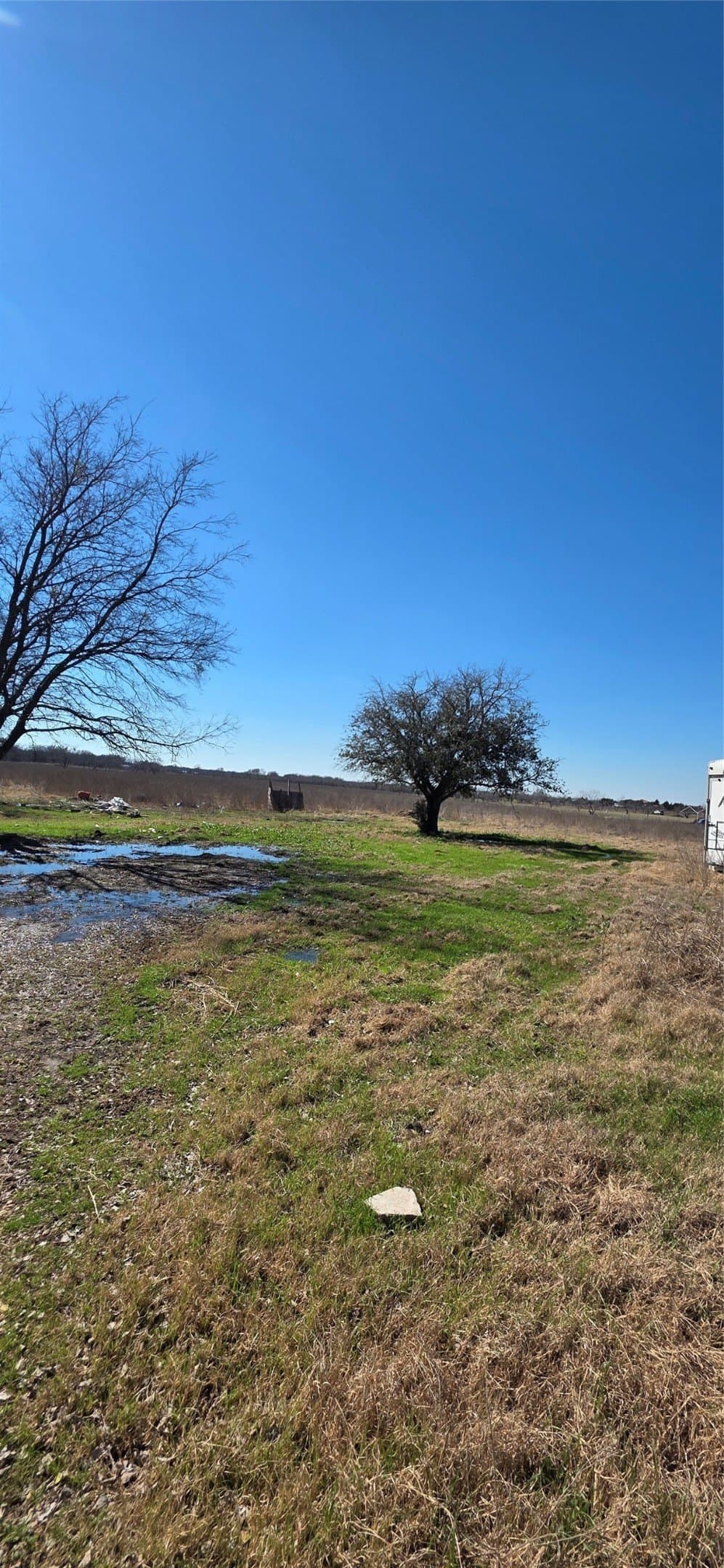 5.2 acres in Navarro County gallery image 3